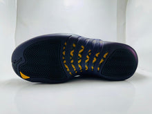 Nike Air Jordan 12 Retro in the Field Purple (69)