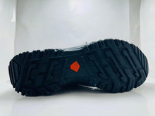 QUECHUA Arpenaz 100 Hiking Shoes (126)