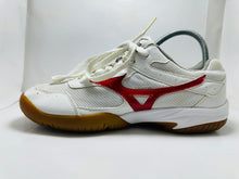MIZUNO indoor court shoes (430)