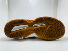 MIZUNO indoor court shoes (430)