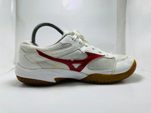 MIZUNO indoor court shoes (430)