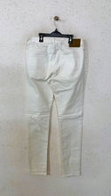 American Eagle Cotton Pant (1345)