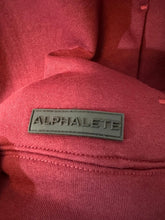 Alphalete Hoodie (91)