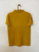 USPA Polo